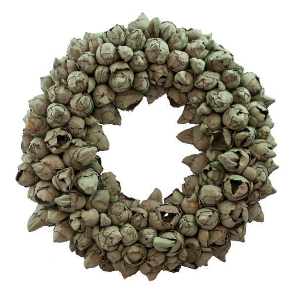 Dekokranz mit Aufhängevorrichtung 30cm, gefertigt aus Kokos-Früchten - Deko aus Naturmaterialien (Sea Green, 30cm)