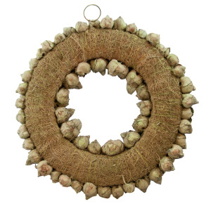 Dekokranz mit Aufhängevorrichtung 30cm, gefertigt aus Kokos-Früchten - Deko aus Naturmaterialien (Light Green, 30cm)