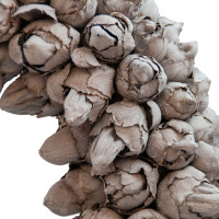 Dekokranz mit Aufhängevorrichtung 30cm, gefertigt aus Kokos-Früchten - Deko aus Naturmaterialien (Grey, 30cm)