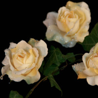 Dekorationsblüte Rose hellgelb Ø ca.6cm