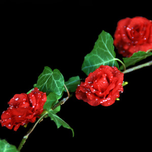 Dekorationsblüte Rose rot Ø ca.4cm