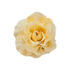 Dekorationsblüte Rose hellgelb Ø ca.4cm