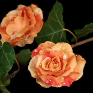 Dekorationsblüte Rose braun/rot Ø ca.4cm