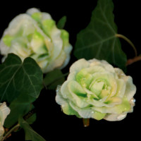 Dekorationsblüte Rose mintgrün Ø ca.4cm