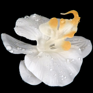 Dekorationsblüte Orchidee weiß Ø ca.7cm