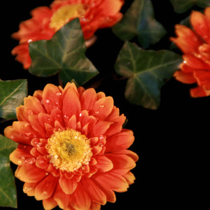 Dekorationsblüte Gerbera orange Ø ca.6cm