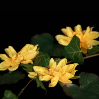 Dekorationsblüte Seerose gelb Ø ca.6cm