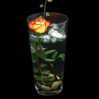 Glas Vase Konischer Zylinder klar. Höhe 30cm Ø 16cm
