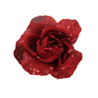 Eckige Glas-Schale Teelicht H.7,5cm Länge x Breite 20cm. Flache Dekoschale eckig mit Dekorations Set Rose rot
