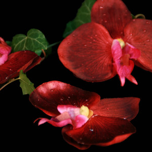 Deko-Glas Cognacglas klein Höhe 19cm Ø 10cm mit Dekoration Orchidee rot