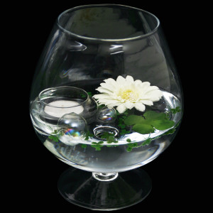 Deko-Glas Cognacglas klein Höhe 19cm Ø 10cm mit Dekoration Gerbera weiß